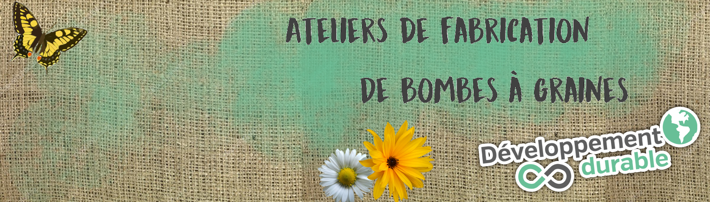 Resetea Lot De 6 Bombes De Graines, Fleurs Violettes, Fleurs De L